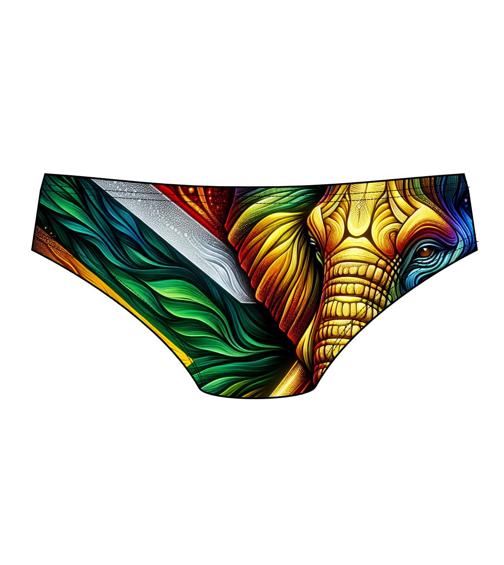 Male brief swimsuit - South African Flag Elephant