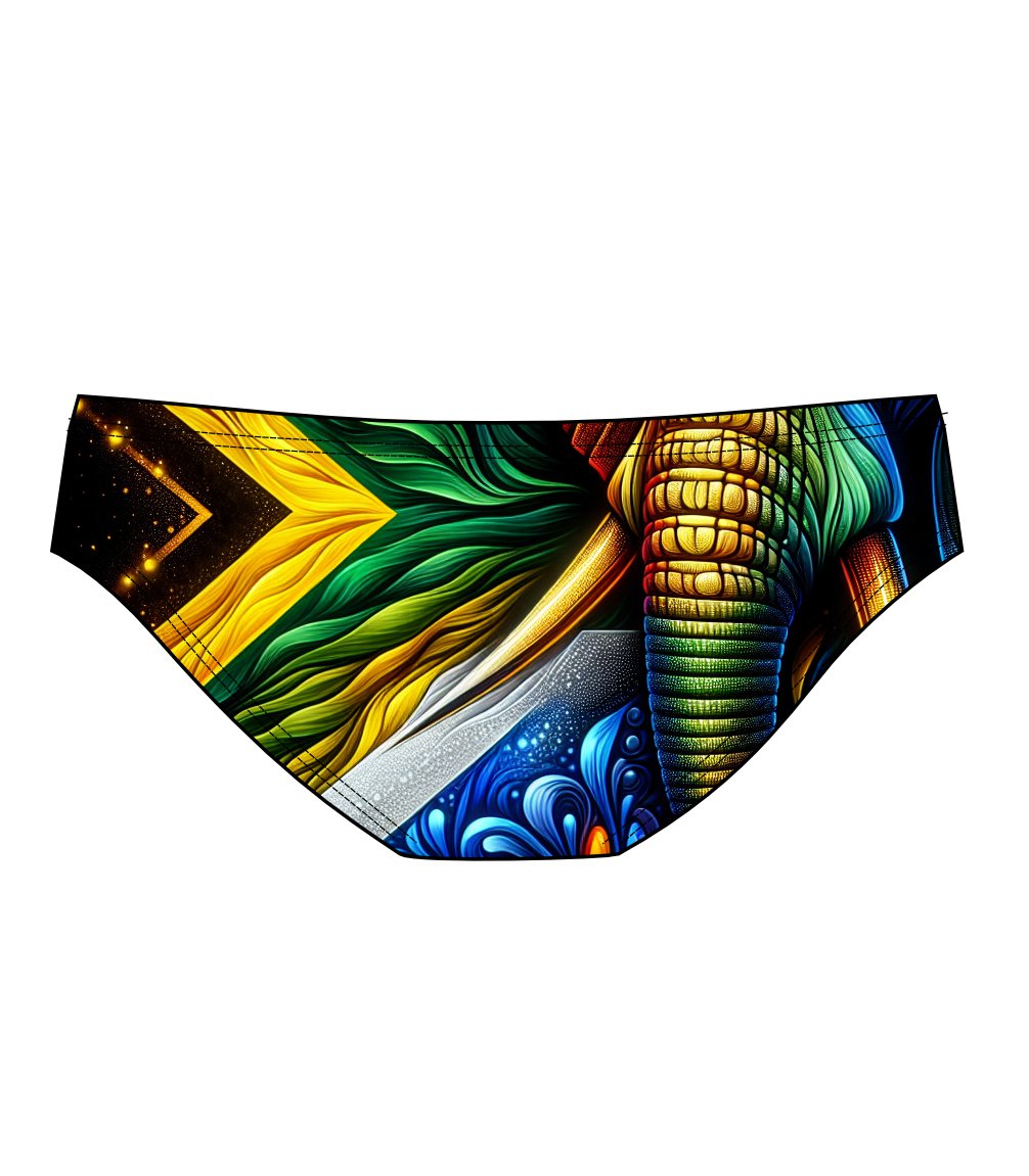 Male brief swimsuit - South African Flag Elephant