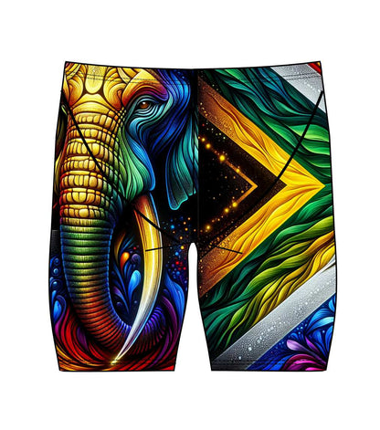 Male Jammer Swimsuit - South African Flag Elephant (3881)